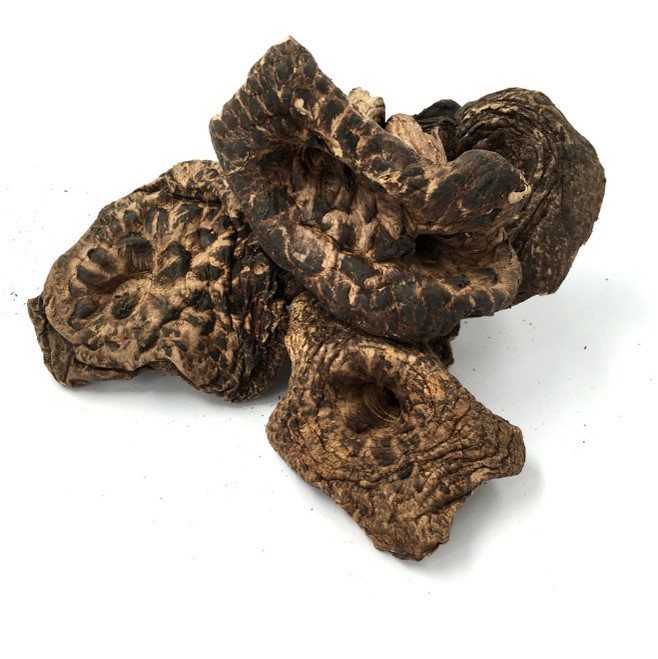 Dried black tiger palm mushroom.jpg